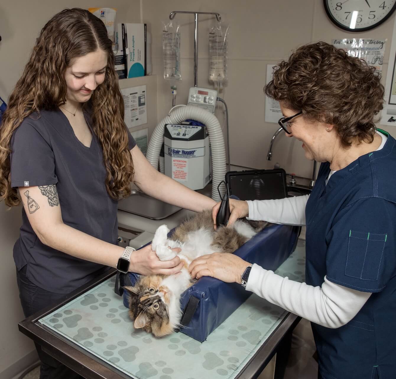 Internal Medicine